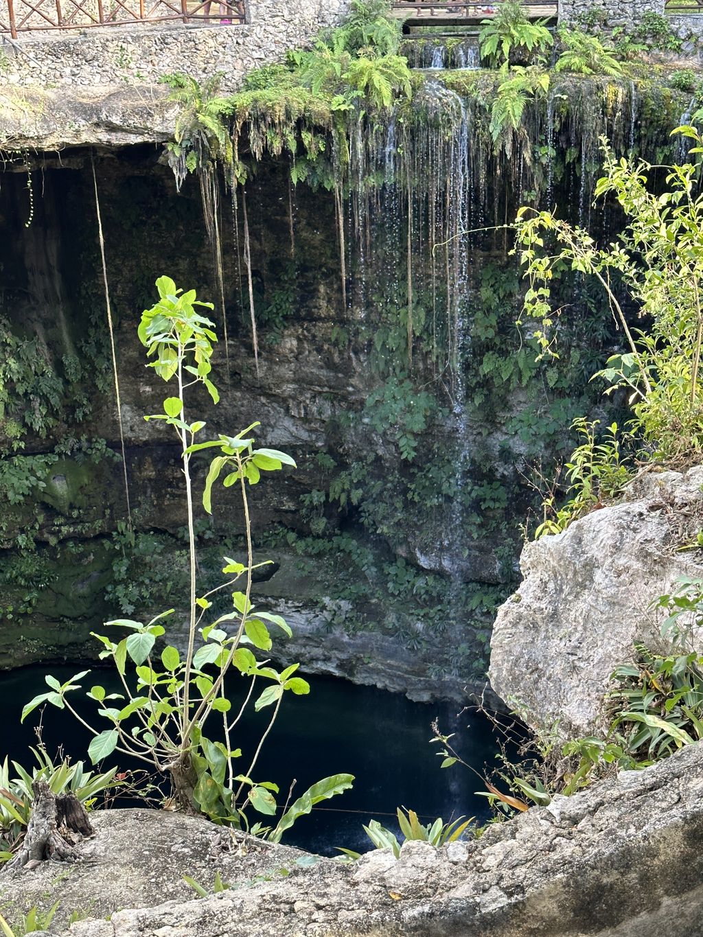 Cenote - Cancún, Mexico