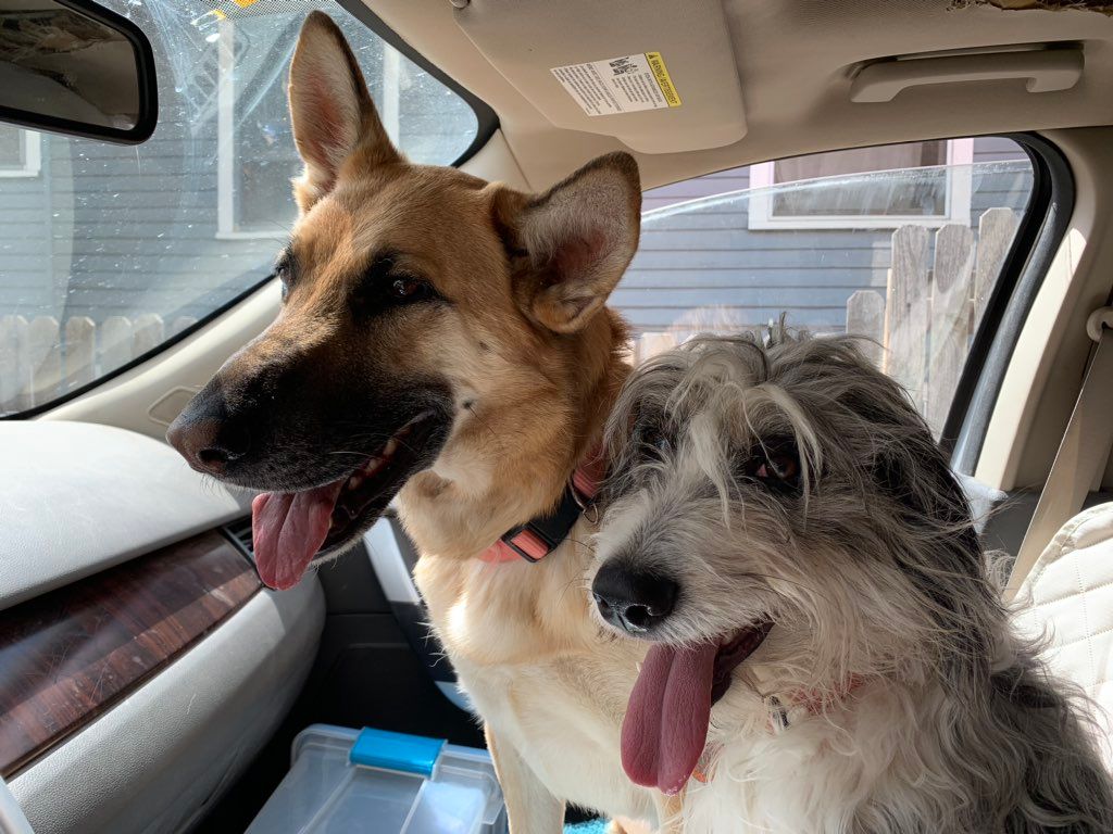Best friends. 