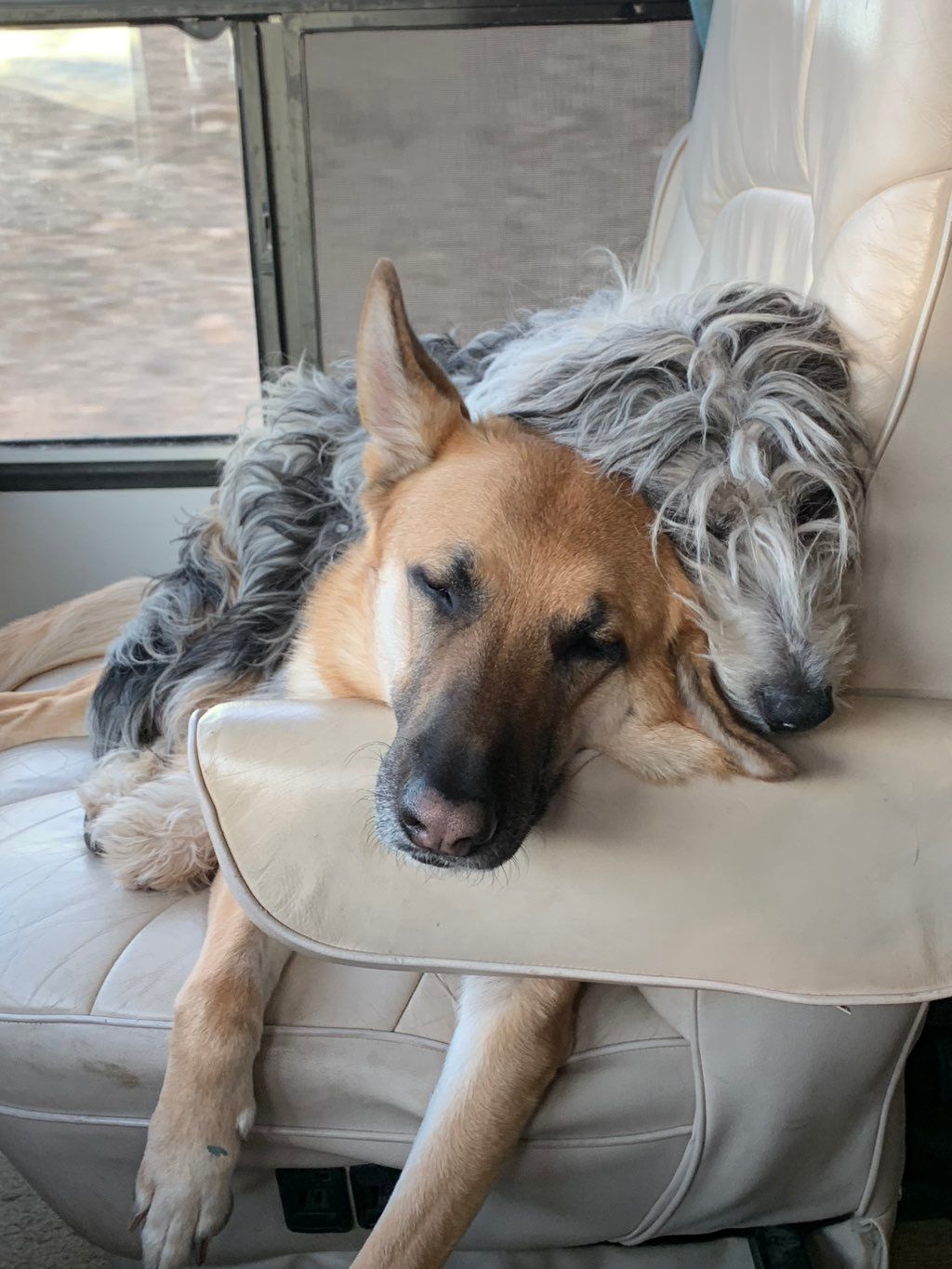 This is how we roll. Minnie knows no boundaries. G