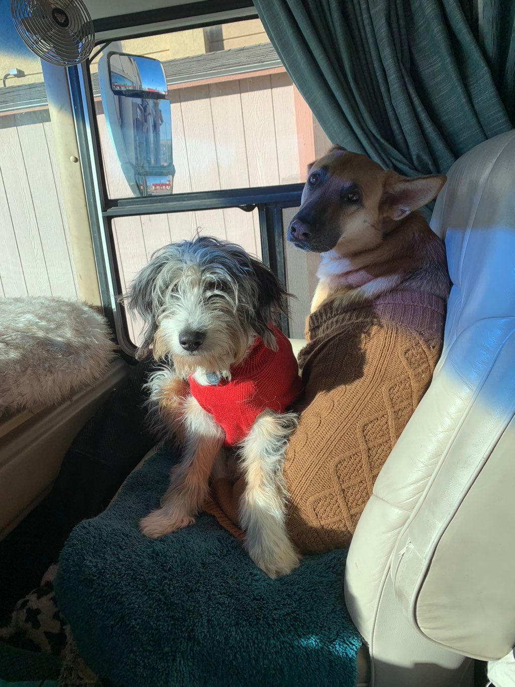 Minnie and Beighley keeping warm in ND. 