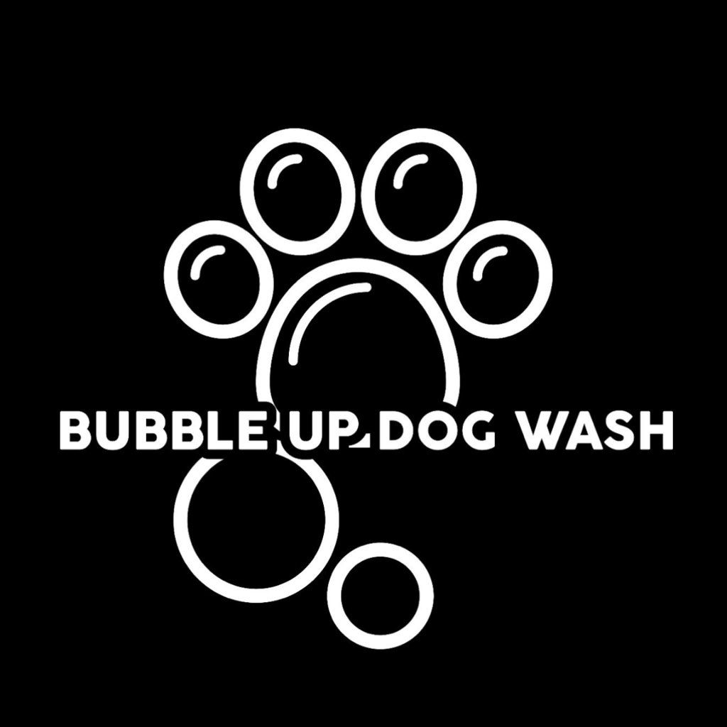 Bubble Up Dog Wash