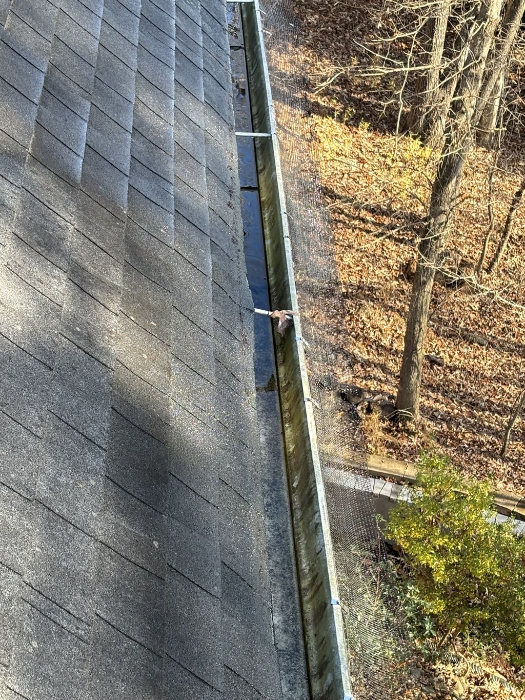 Gutter Cleaning and Maintenance