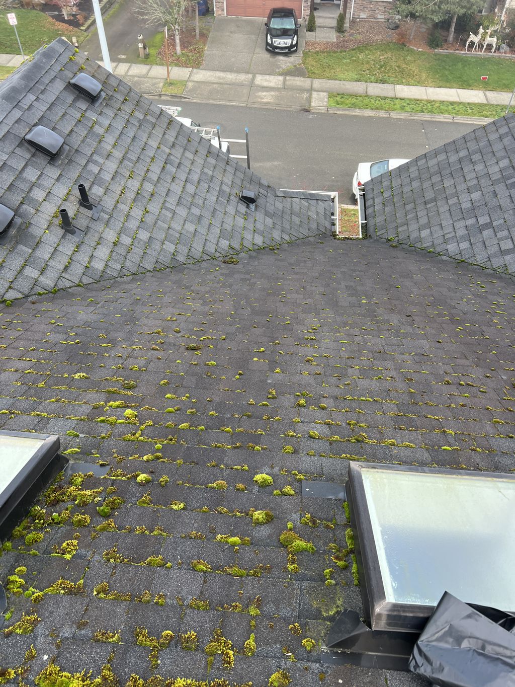 Gutter Cleaning and Maintenance