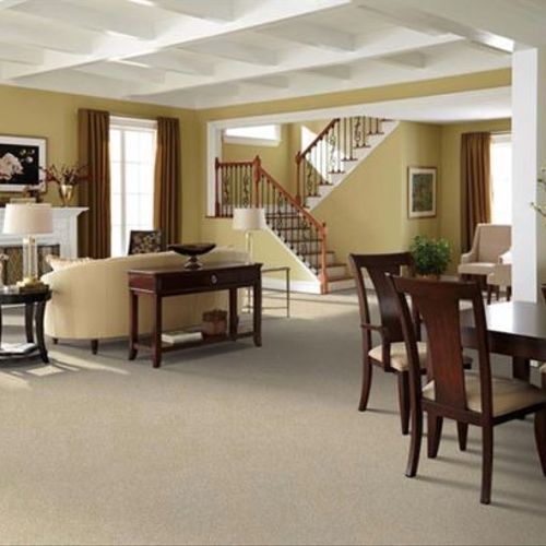 Living Room Carpet Cleaning