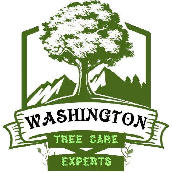 Washington Tree Care Experts LLC