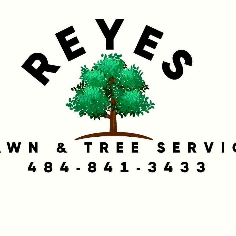 Reyes lawn&tree service