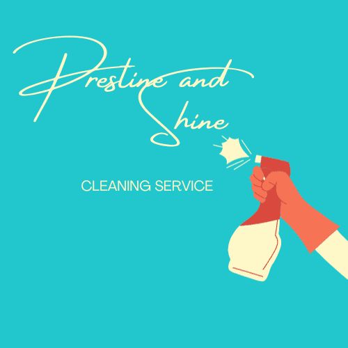 Pristine and Shine Solutions LLC