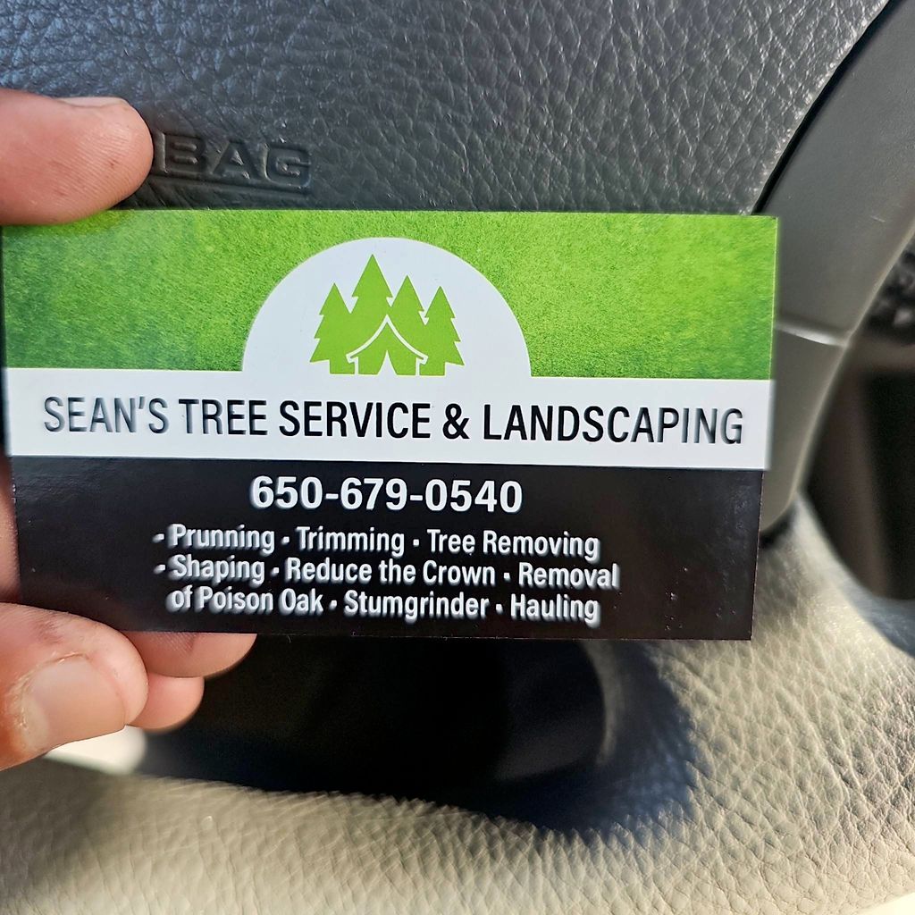 Sean's Tree service & Landscaping