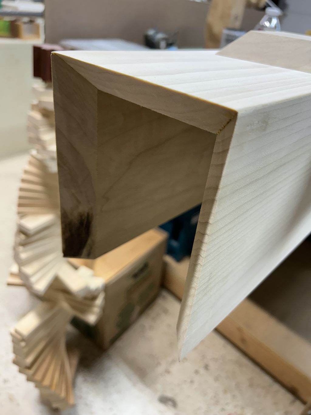 Projects and media