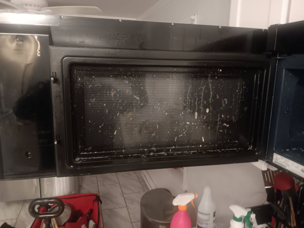 microwave door (inside) BEFORE Dayocleaning 