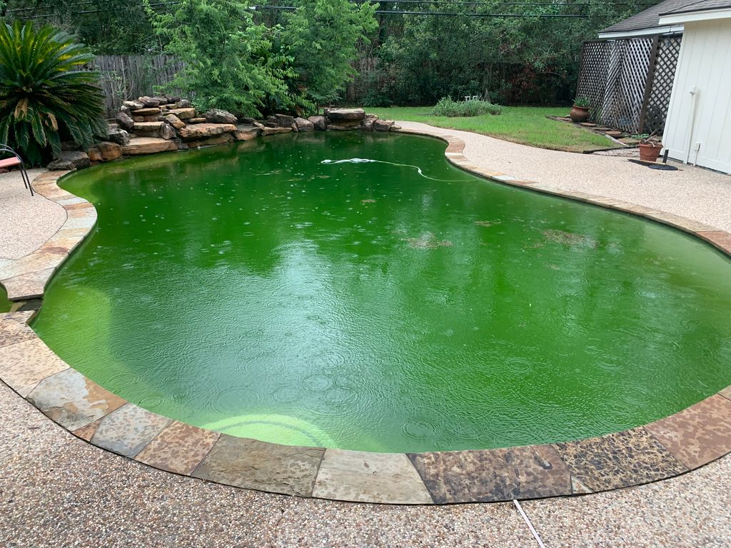 Swimming Pool Cleaning, Maintenance, and Inspection