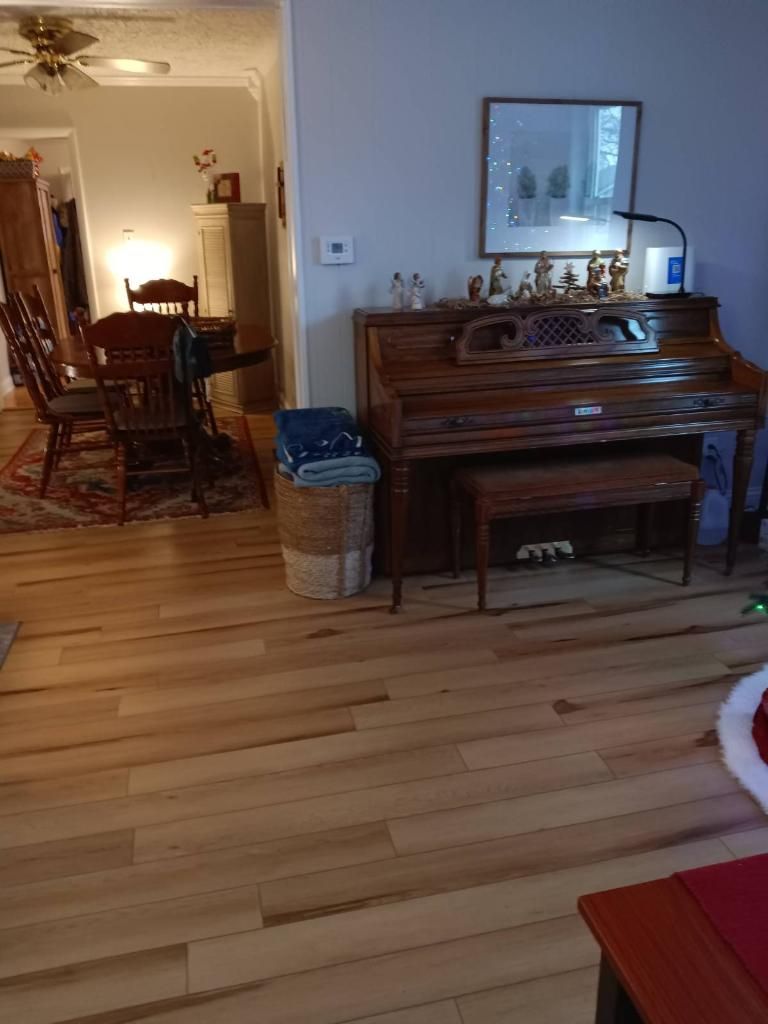 Light tidy up and mopping and  baseboard clean 