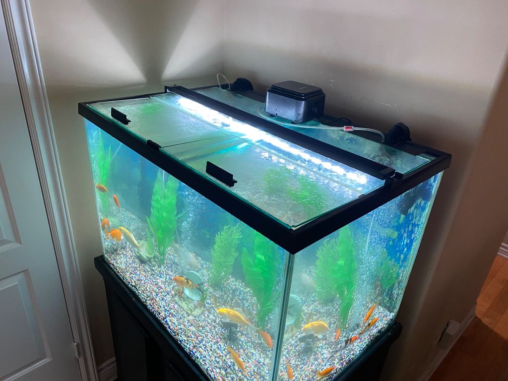 Customer photos