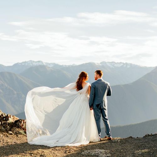 Wild Grass Photography