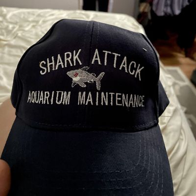Avatar for Shark attack aquarium maintenance LLC