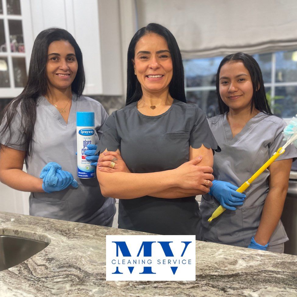 MV Cleaning Service