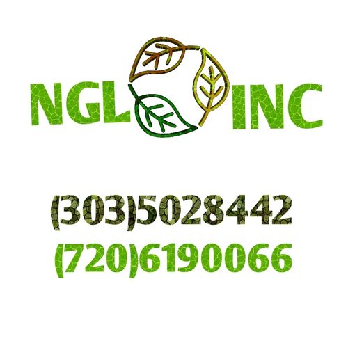 NGL Inc Profile Picture