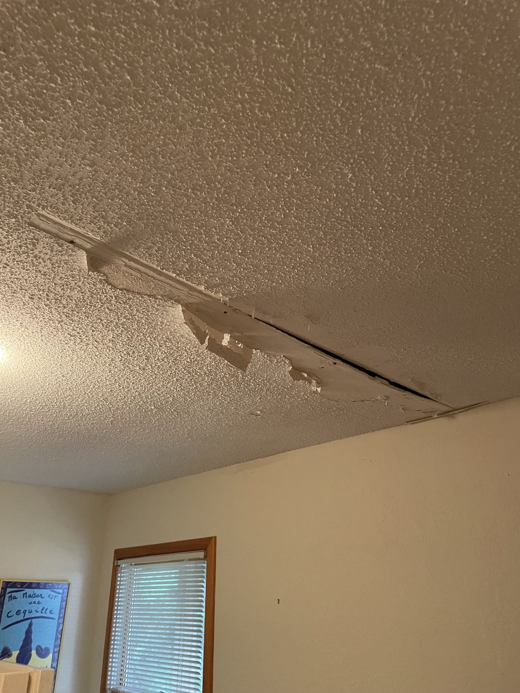 Drywall Repair and Texturing