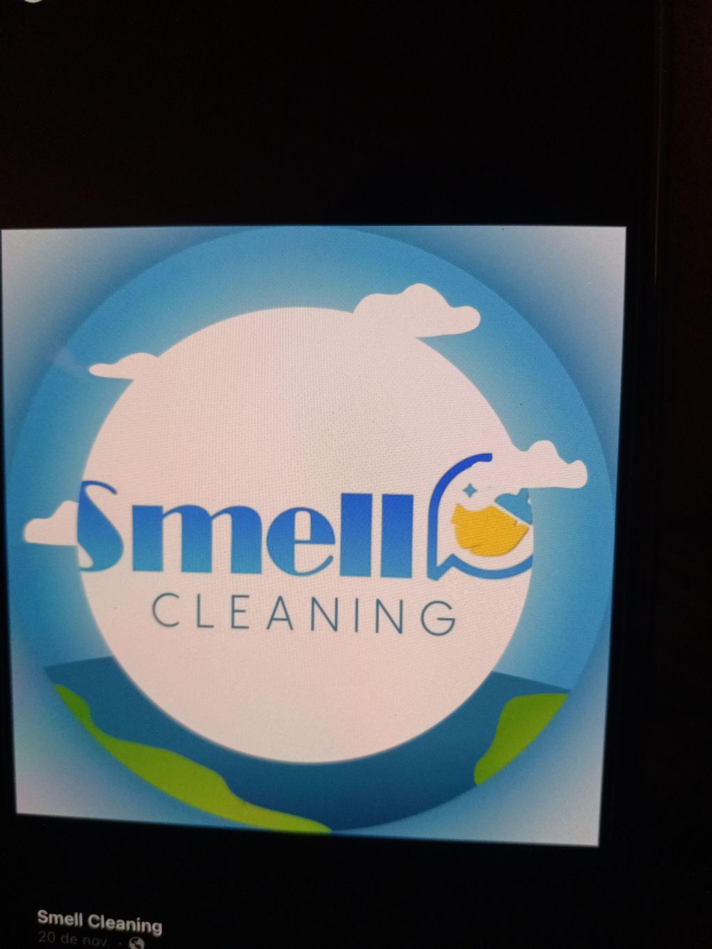 smell cleaning service