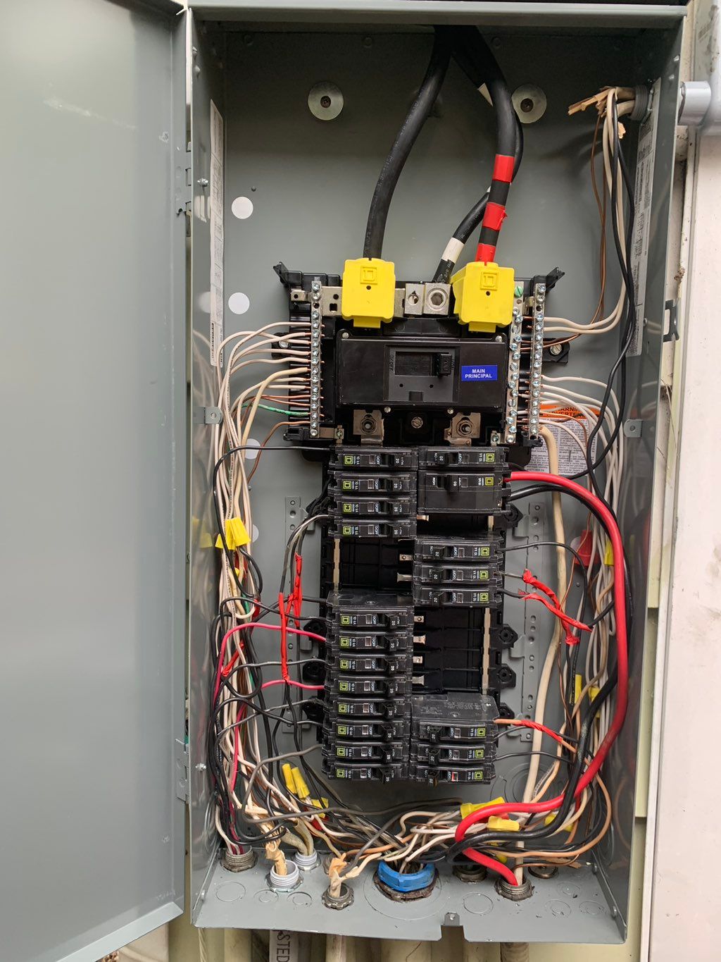 Projects and media