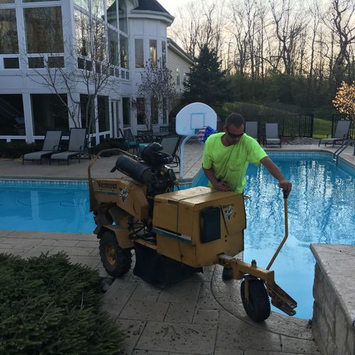 Grinding stumps next to a pool with very restricte