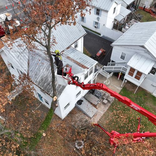 Tree removal above house