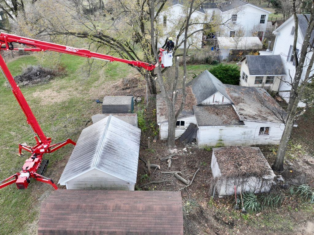 Tree removal in tight space