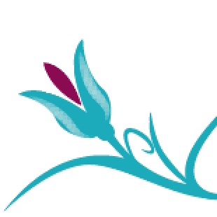 Avatar for Casabella Cleaning Service LLC