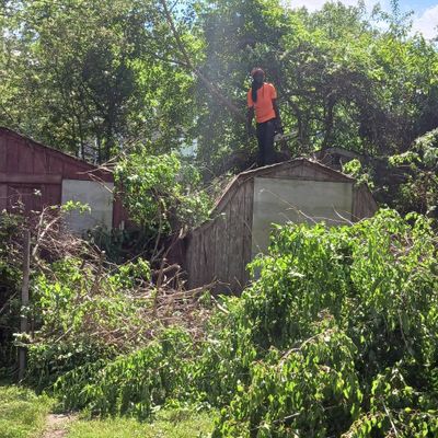 Avatar for Presentable cuts tree service
