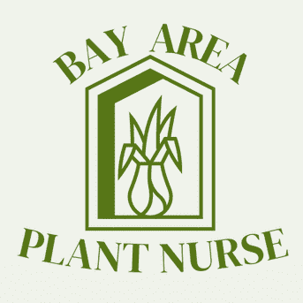 Avatar for Bay Area Plant Nurse