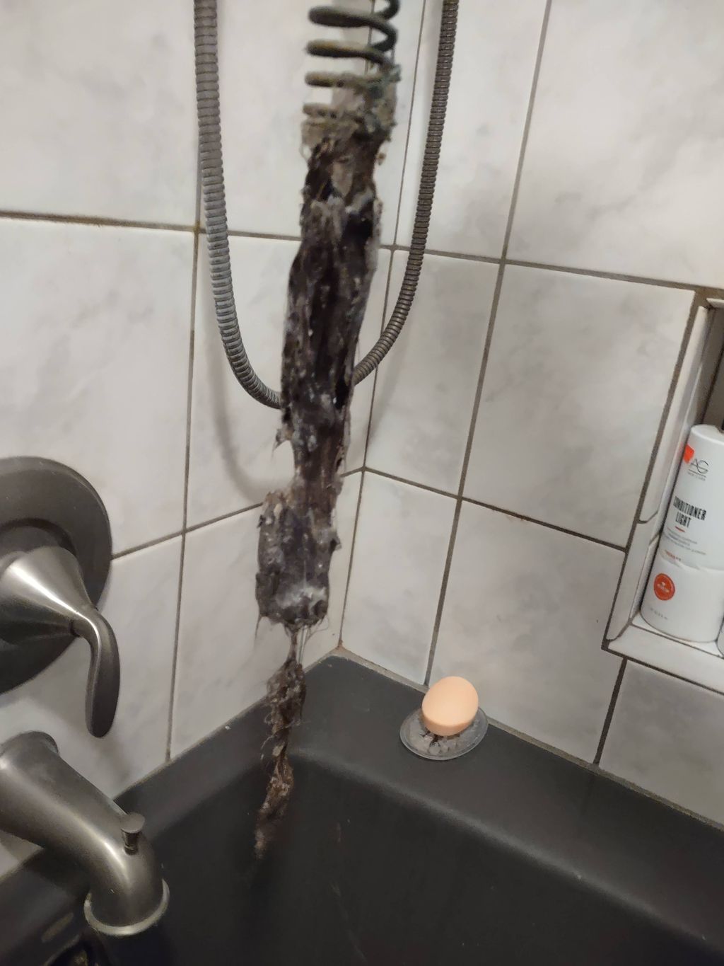 Hair removed from a bathtub line. 