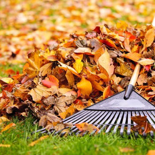 Diaz Lawncare