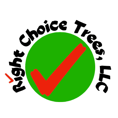 Avatar for Right Choice Trees, LLC