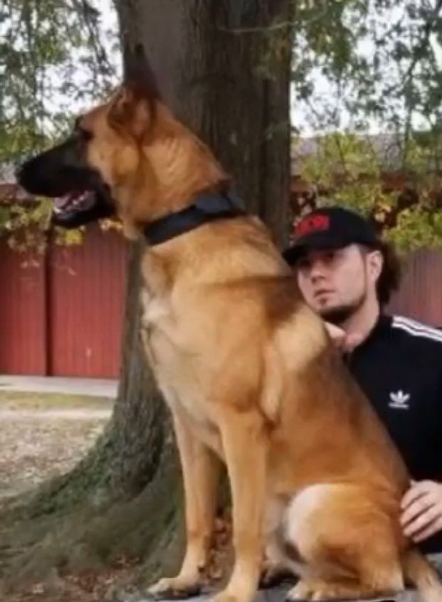 K9 Havoc learning place 