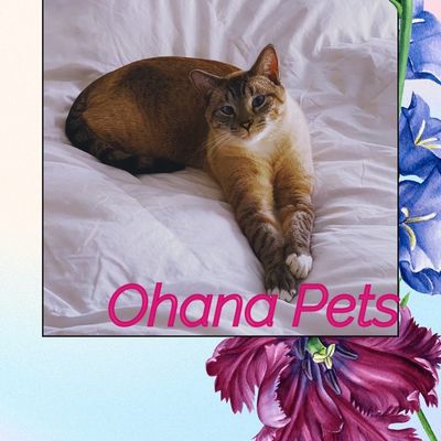 Avatar for Ohana Pets