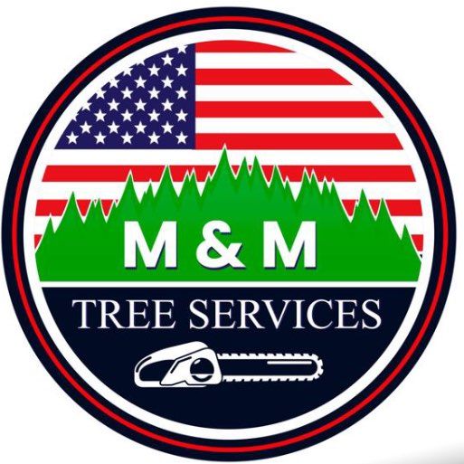 M&M Trees Service