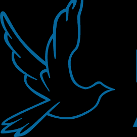 Avatar for Paz Accounting Company