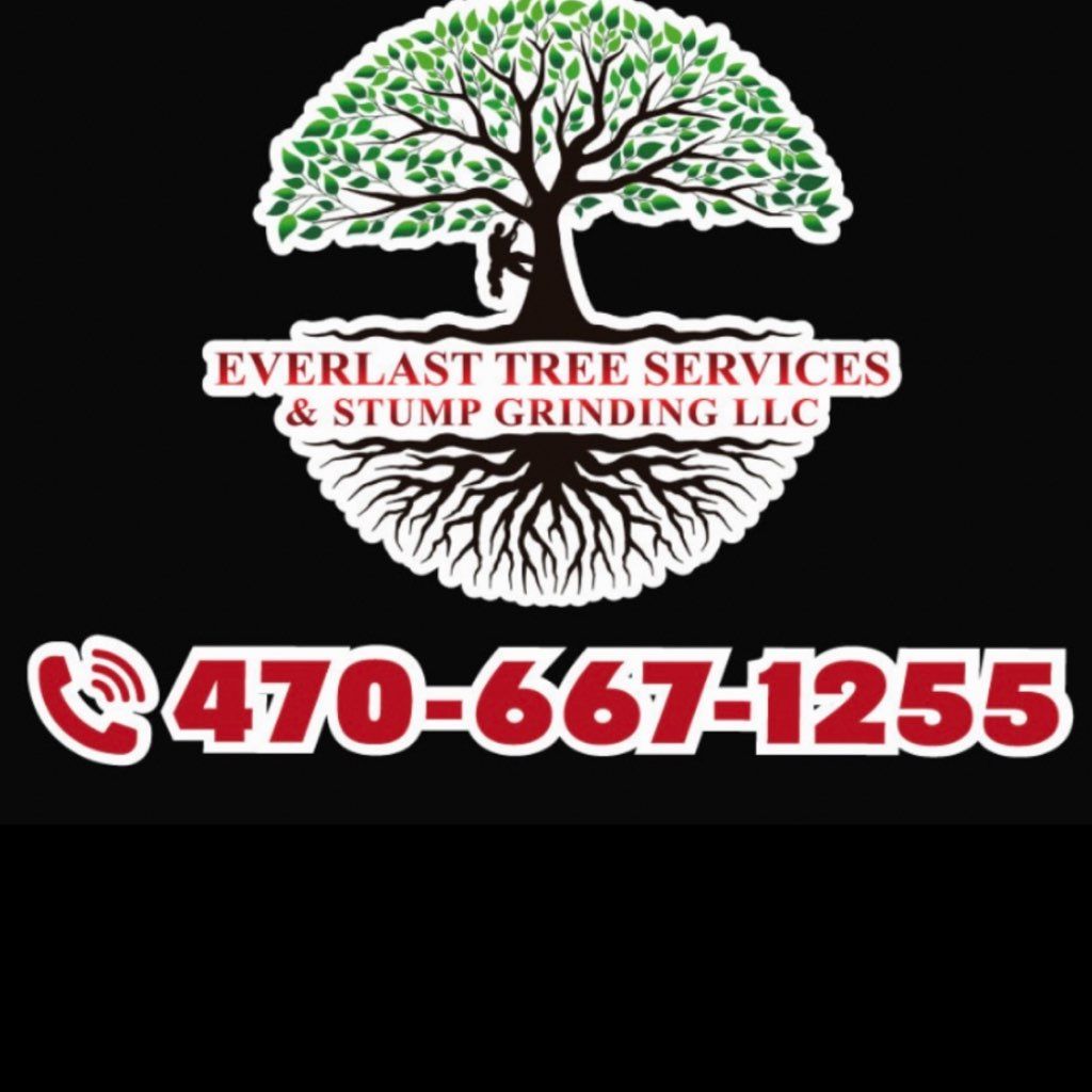 Everlast Tree Services & Stump Grinding LLC