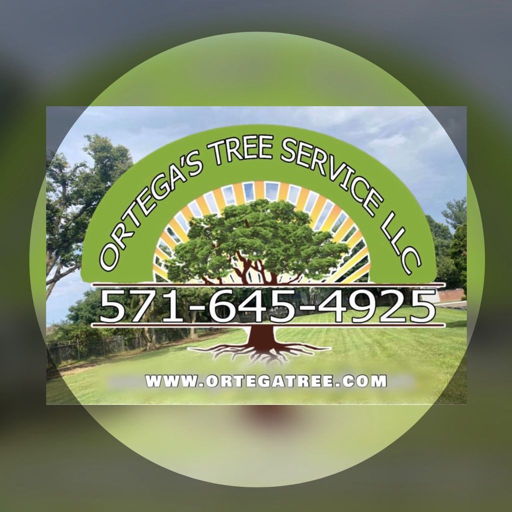 Ortega’s tree service LLC