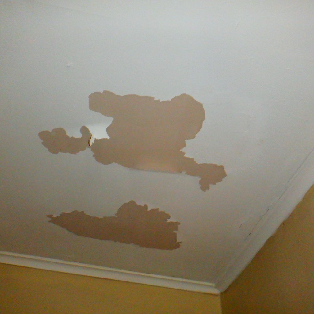 Leakage