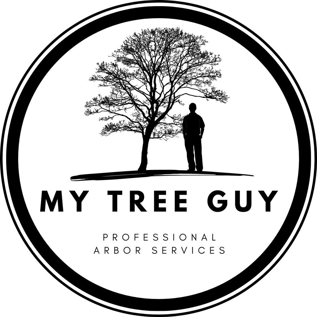 My Tree Guy