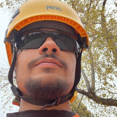 Avatar for Control+X tree services