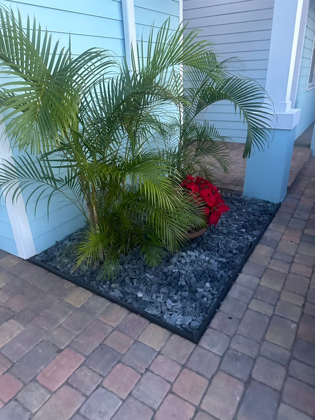 Customer photos