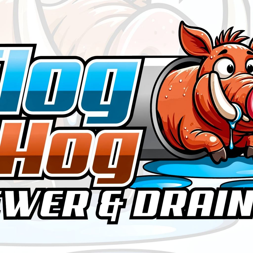CLOG HOG SEWER AND DRAIN CLEANING SERVICES LLC