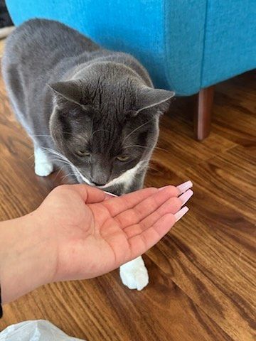 Customer photos
