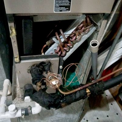 Avatar for complete HVAC mechanical