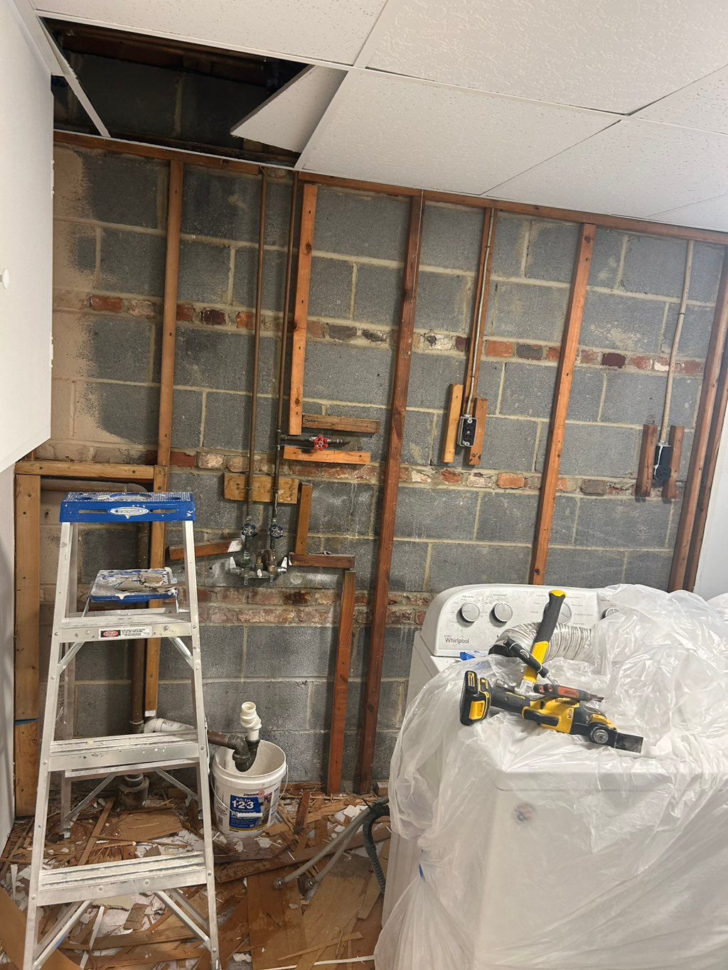 Projects and media