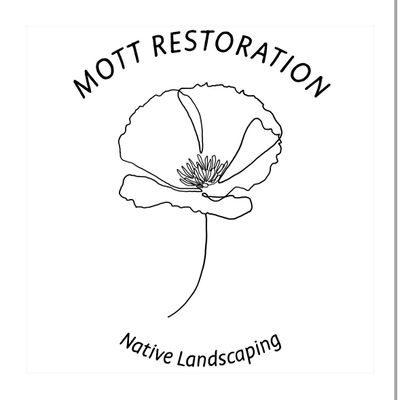 Avatar for Mott Restoration