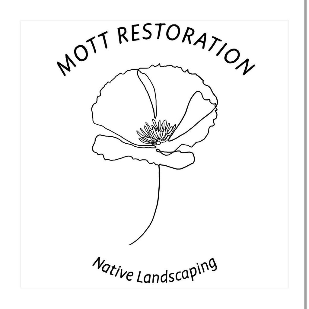 Mott Restoration