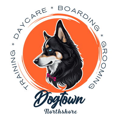 Avatar for Dogtown Dog Daycare
